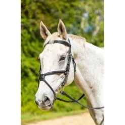 Shires Avignon Woodside Bridle - Black
