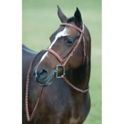Pessoa Rodrigo Fancy Wide Show Bridle - Dark Brown