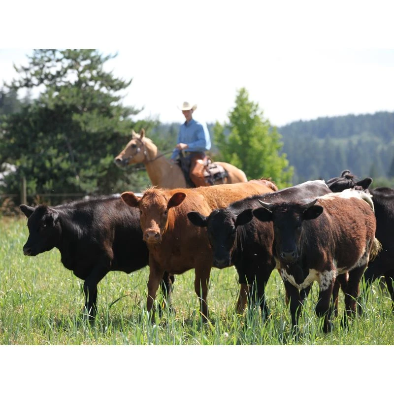 Toklat RanchBoss Western Fleece Cinch - Brown - Image 3