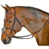 M. Toulouse Classic Figure 8 Bridle - Chocolate